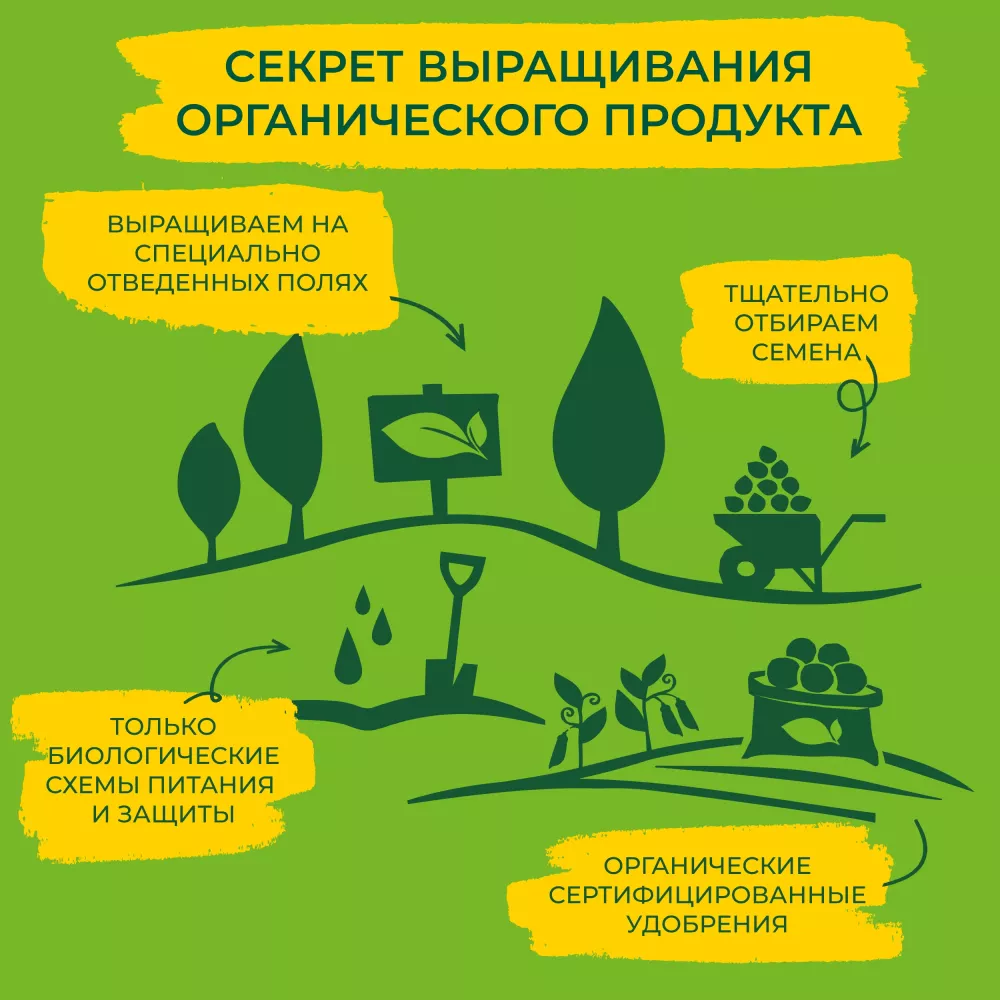 Горошек консервированный Бондюэль, органик, 400 г