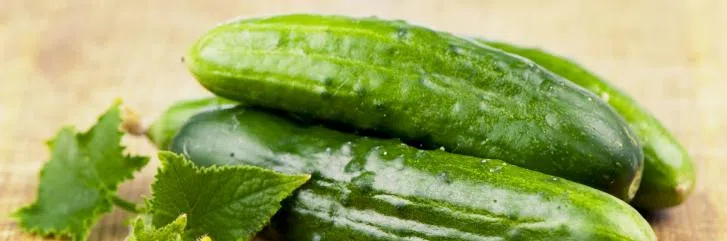 Огурцы