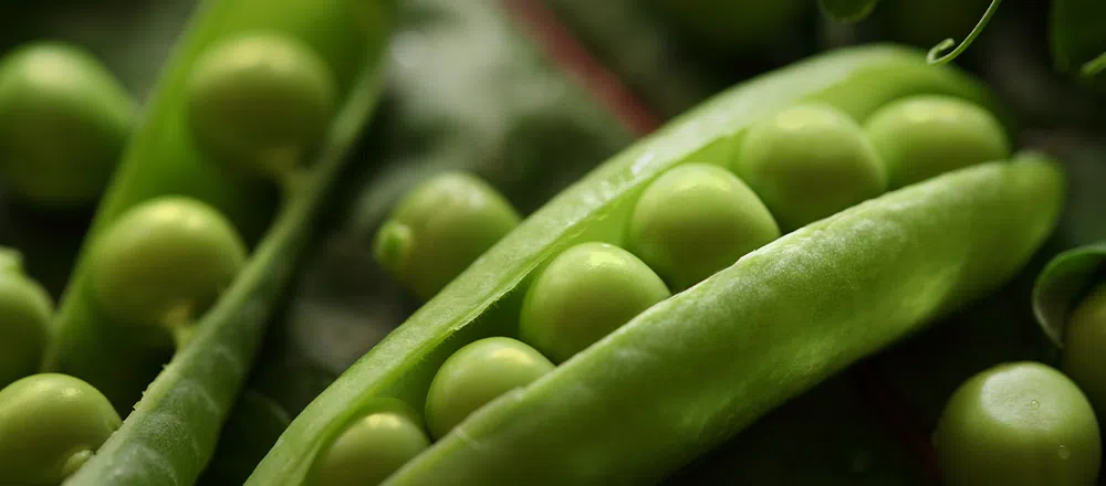 Особенности летнего питания: советы нутрициолога