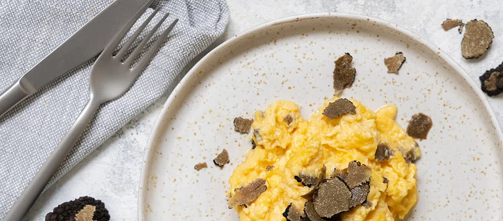 Трюфель: что это за гриб и почему он считается деликатесом