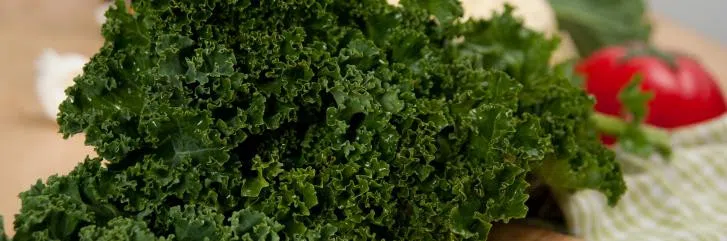 Листовая капуста