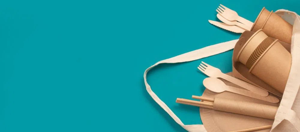 Эко-посуда: одноразовая и не только