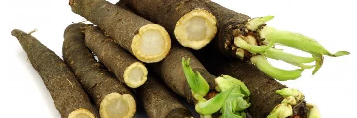 Козлобородник