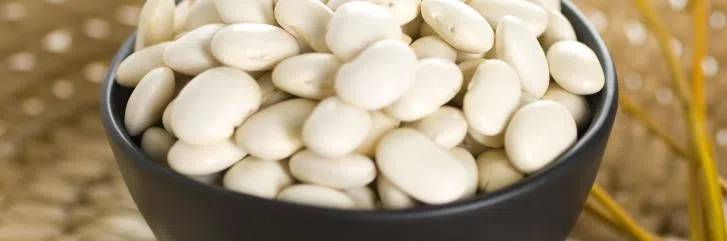Фасоль белая