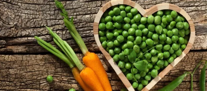 9 фактов в честь Всемирного дня вегетарианства