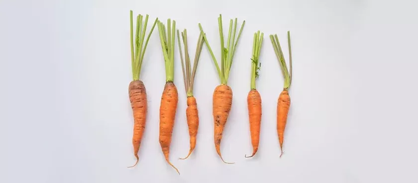 Все о моркови: 5 лучших фактов и 5 рецептов вкусных блюд