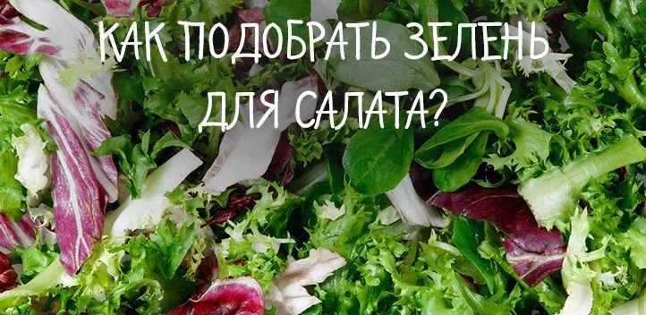 Как подобрать зелень для салата?