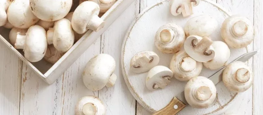 50 удивительных фактов о грибах