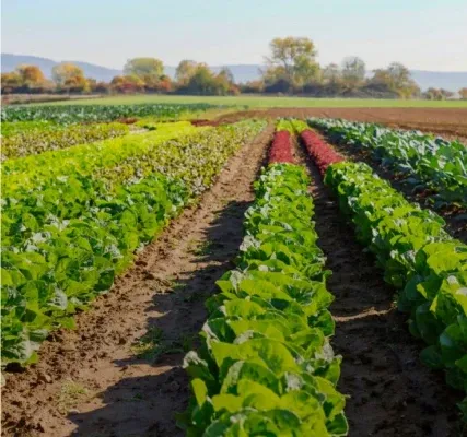 Заботимся о планете