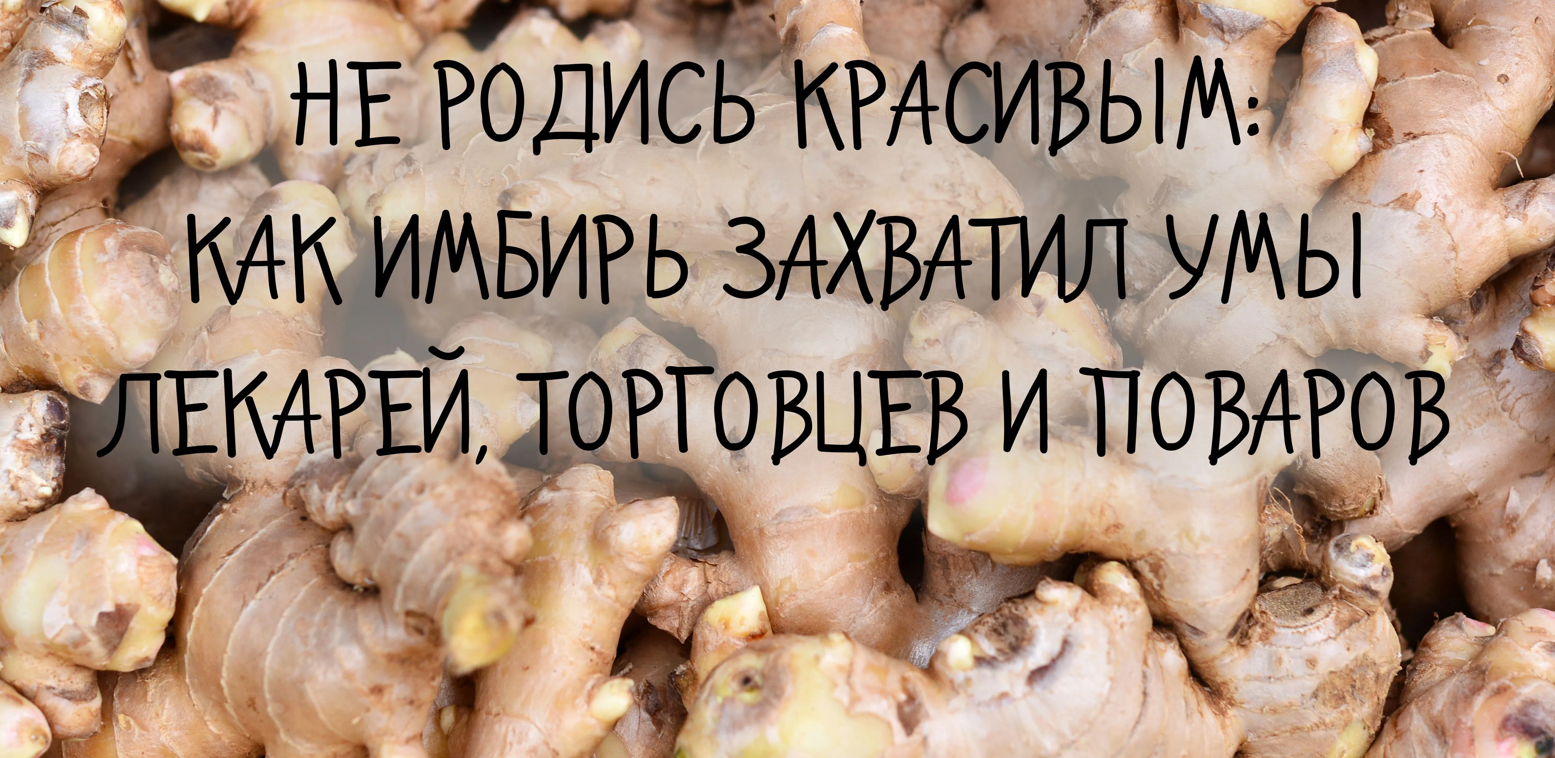 Не родись красивым: как имбирь захватил умы лекарей, торговцев и поваров