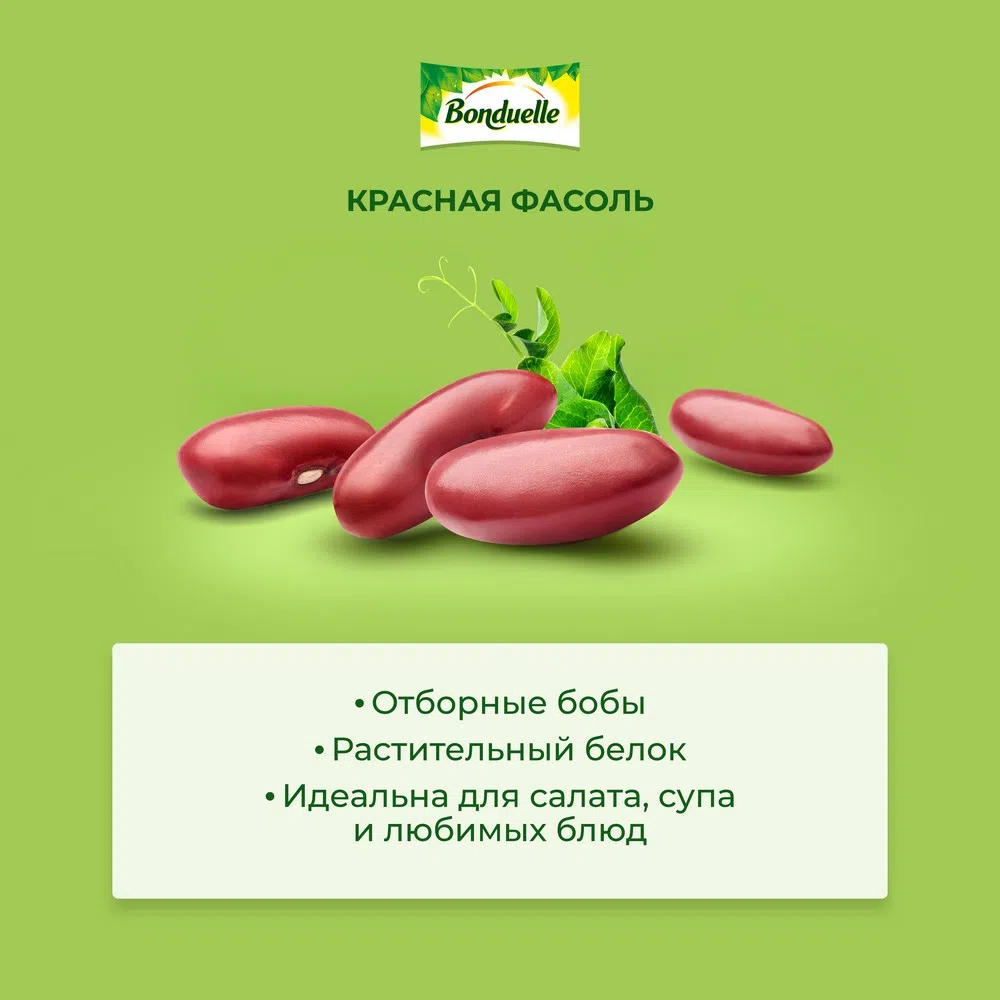 Красная фасоль 400 г | Узнайте, где купить продукцию Bonduelle