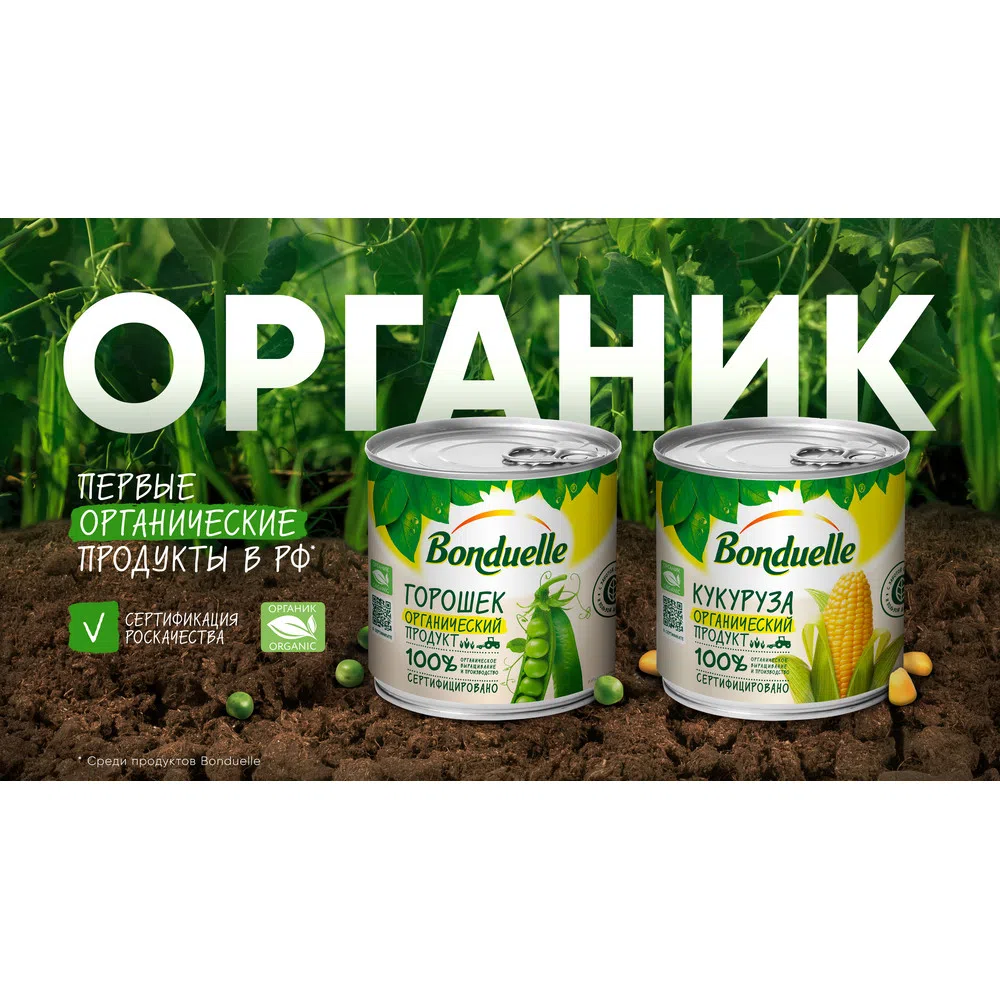 Органический зеленый горошек | Консервированные овощи продукты Bonduelle