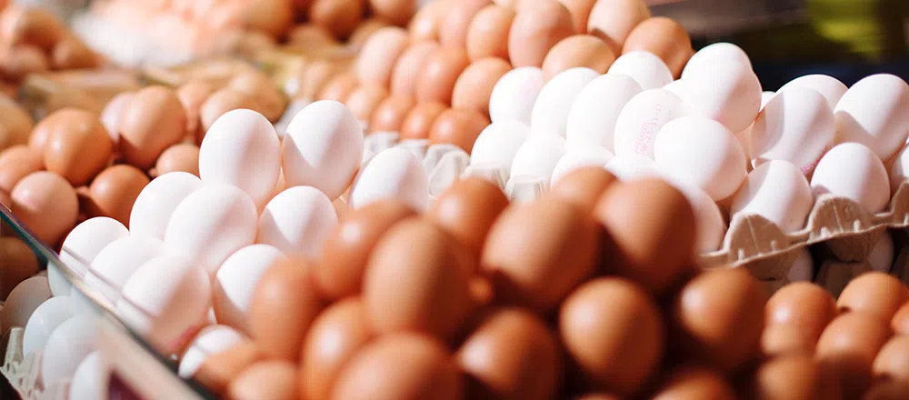 Чем отличаются категории яиц и какую лучше выбрать