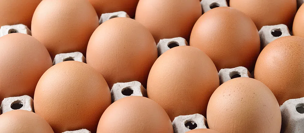 Чем отличаются категории яиц и какую лучше выбрать